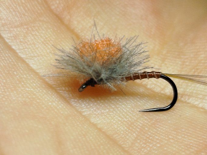 Ecdyonurus parachute 