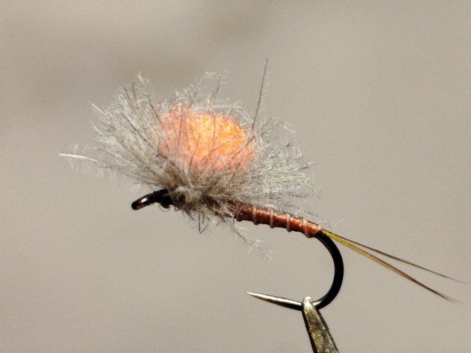 Ecdyonurus parachute 