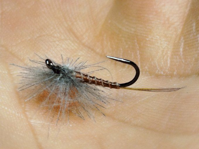 Ecdyonurus parachute 