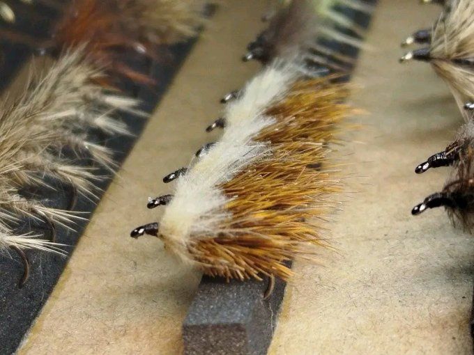 Sedge chevreuil brown cdc beige 