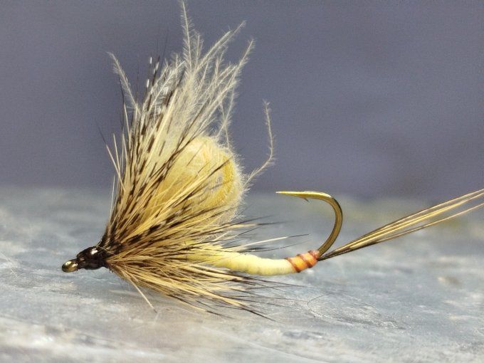 Mouche de mai 