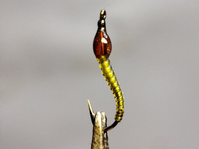 Chiro olive daiichi 1770