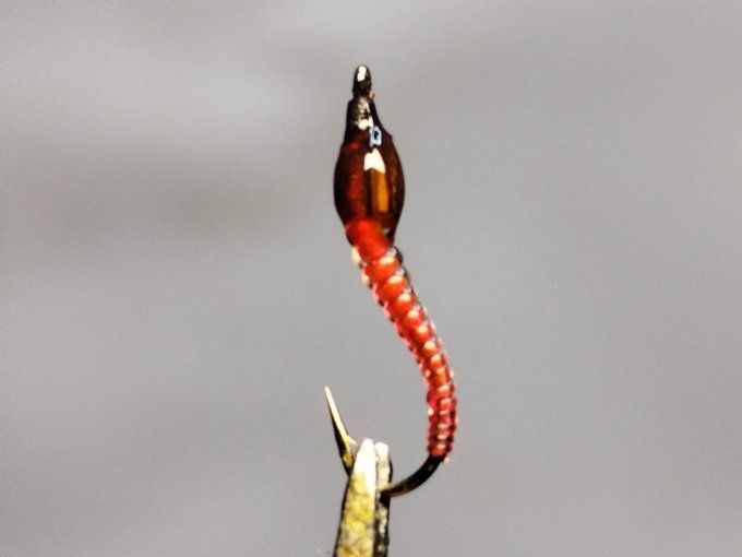 Chiro rouge daiichi 1770