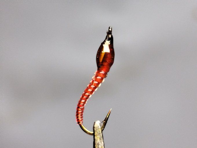 Chiro rouge daiichi 1770