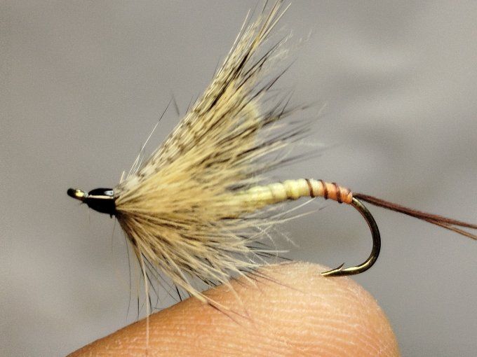 Mouche de mai  daiichi 1770