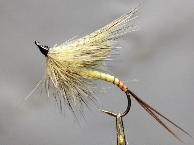 Mouche de mai  daiichi 1770