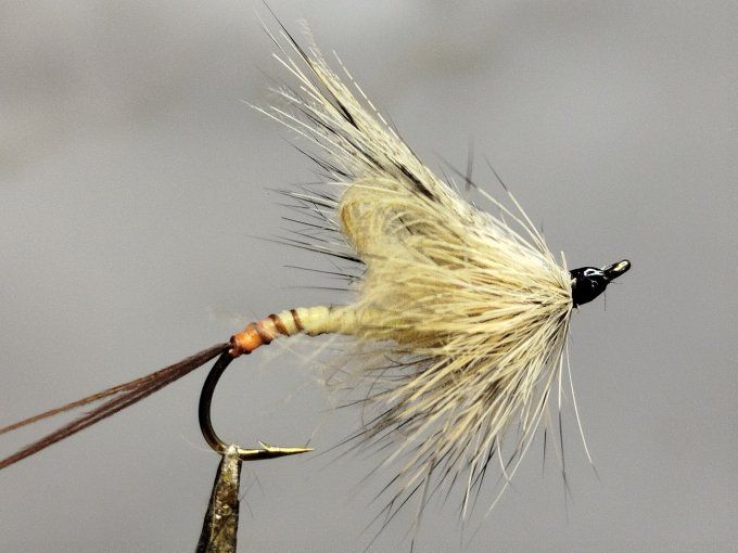 Mouche de mai  daiichi 1770