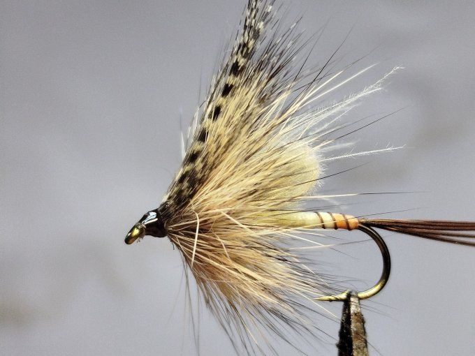 mouche de mai 