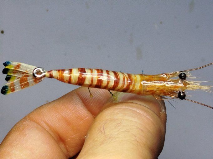 Crevette impériale 