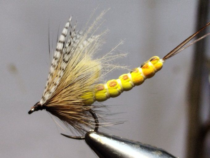 Mouche de mai corps détaché 