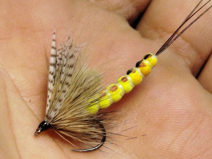 Mouche de mai corps détaché 