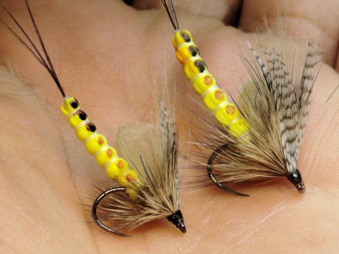 Mouche de mai corps détaché 