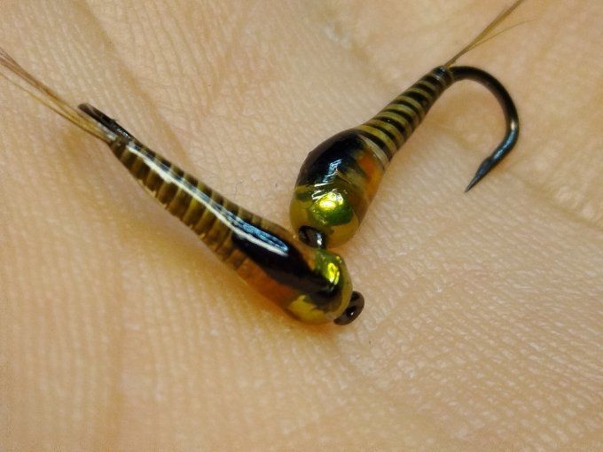 Tungstene olive, herl de paon