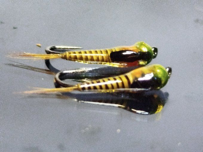 Tungstene olive, herl de paon