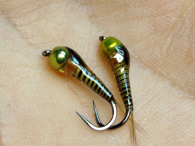 Tungstene olive, herl de paon