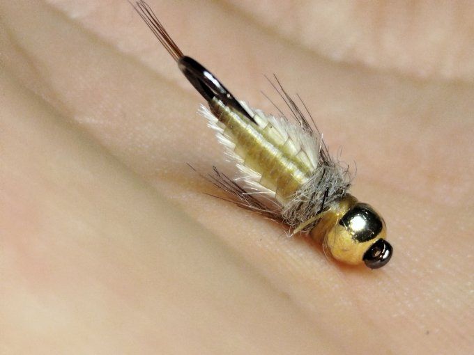 Nymphe de baetidé tungstène 