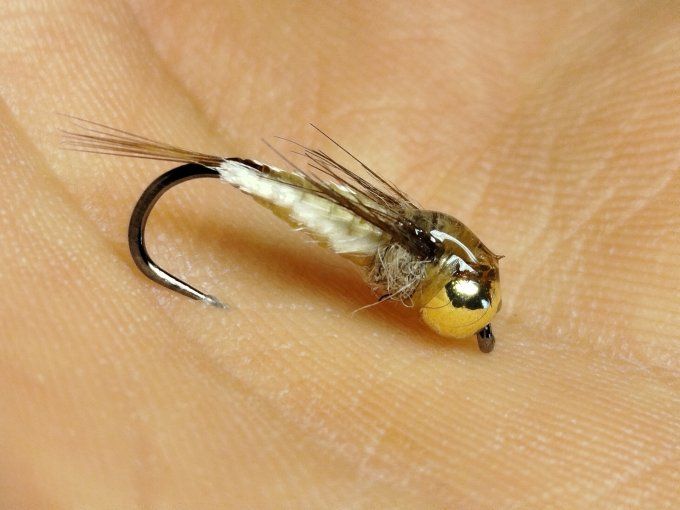 Nymphe de baetidé tungstène 