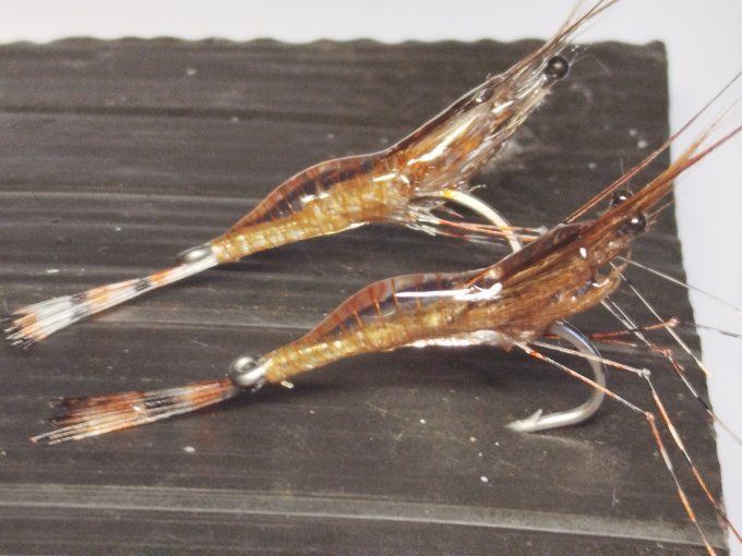 Crevette résine uv transparente  light brown 