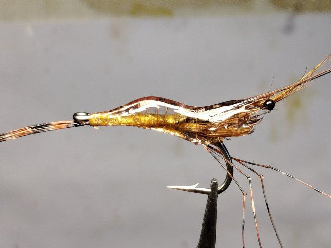 Crevette résine uv transparente  light brown 