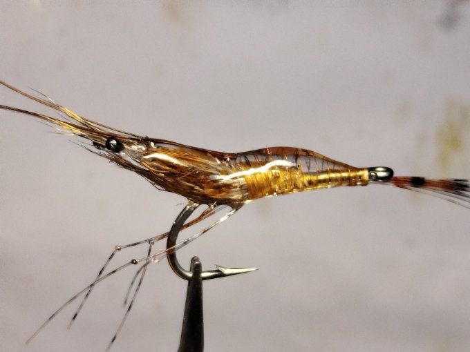 Crevette résine uv transparente  light brown 