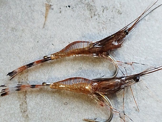 Crevette résine uv transparente  light brown 