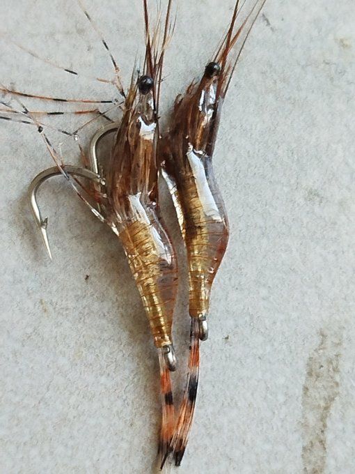 Crevette résine uv transparente  light brown 