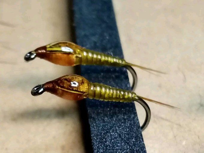Nymphe légère olive