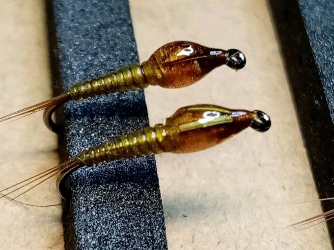 Nymphe légère olive