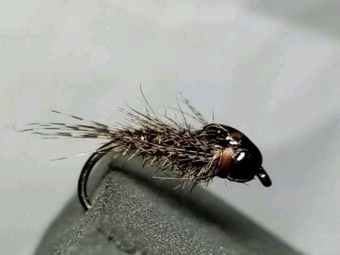 Pheasant tail tungstene