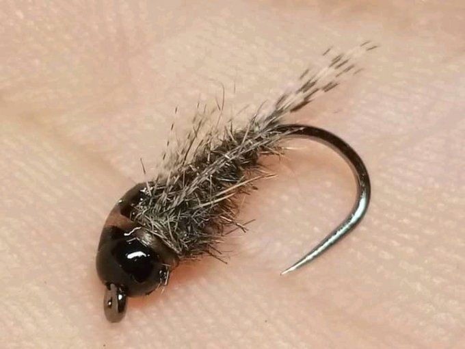 Pheasant tail tungstene