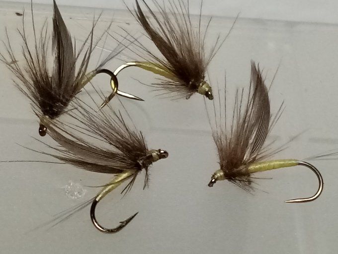 Mouche d'ornans