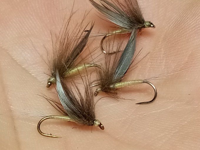 Mouche d'ornans