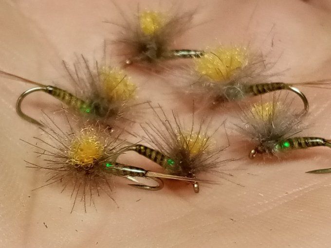 Olive parachute CDC