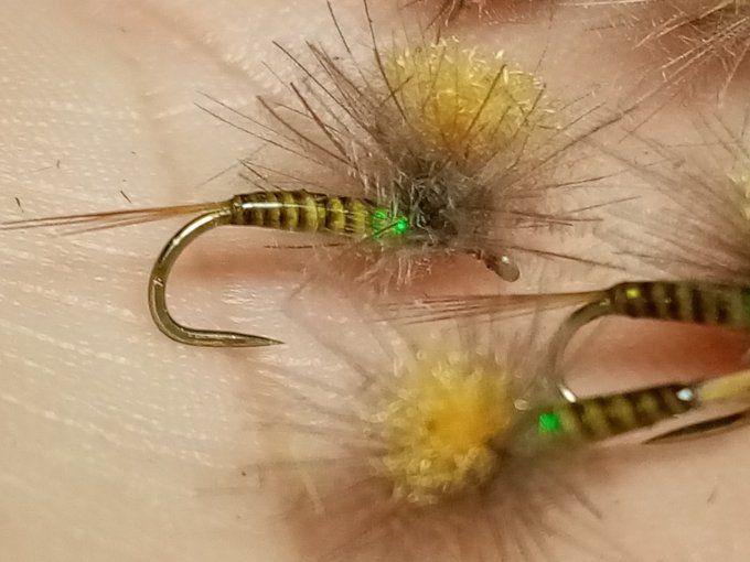 Olive parachute CDC