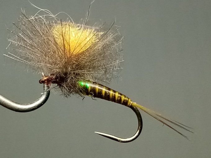 Olive parachute CDC