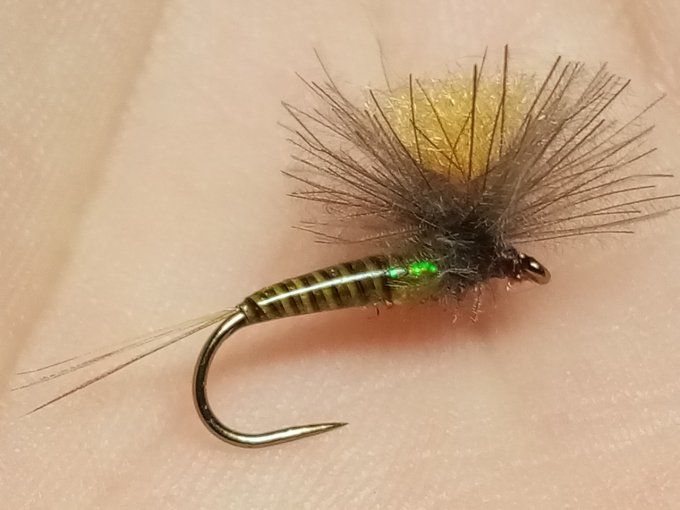 Olive parachute CDC
