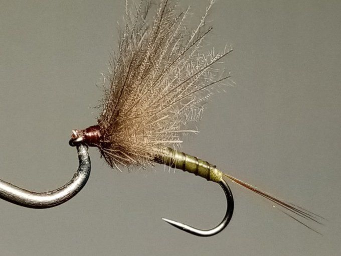 Golden olive
