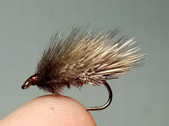 Sedge chevreuil, cdc