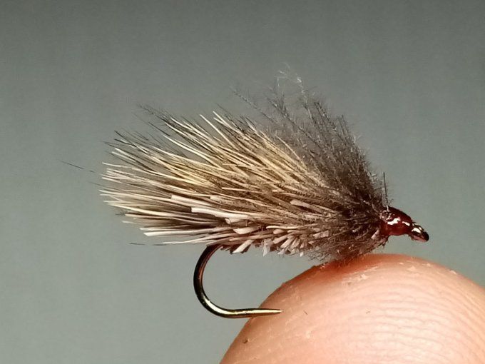Sedge chevreuil, cdc
