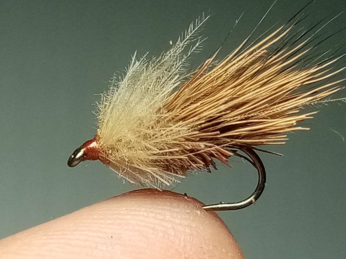 Sedge chevreuil brown cdc beige 