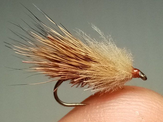 Sedge chevreuil brown cdc beige 