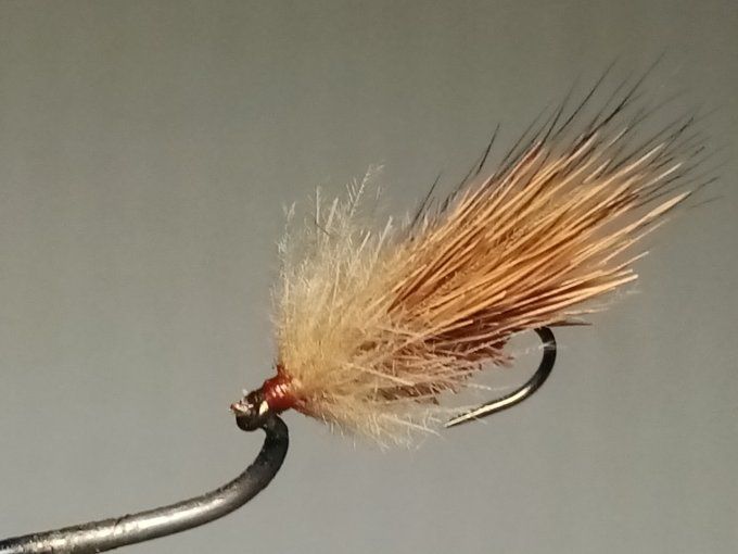Sedge chevreuil brown cdc beige 