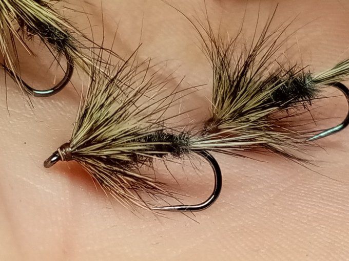 oreille et dos de lievre