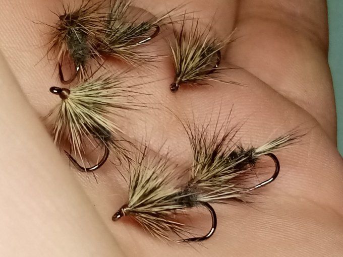 oreille et dos de lievre