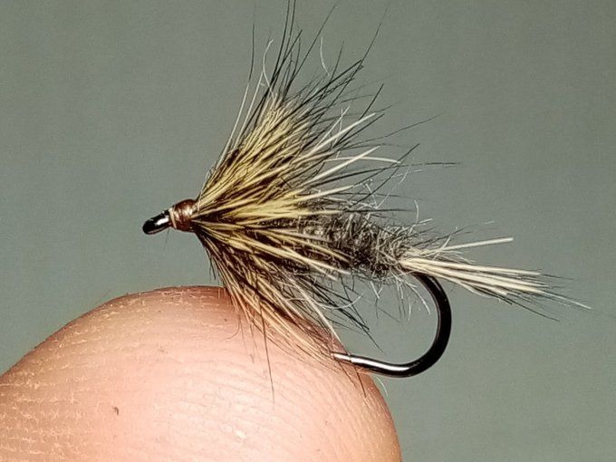 oreille et dos de lievre