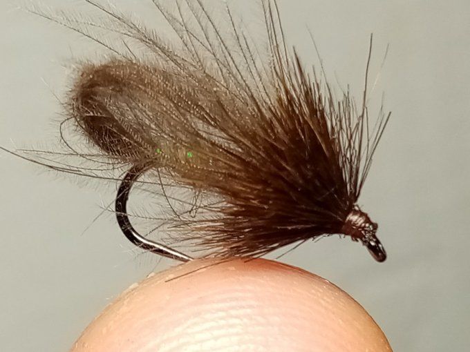 Bubble sedge