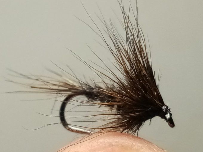 Oreille de chevreuil brown 