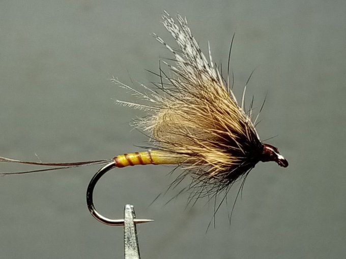 mouche de mai 
