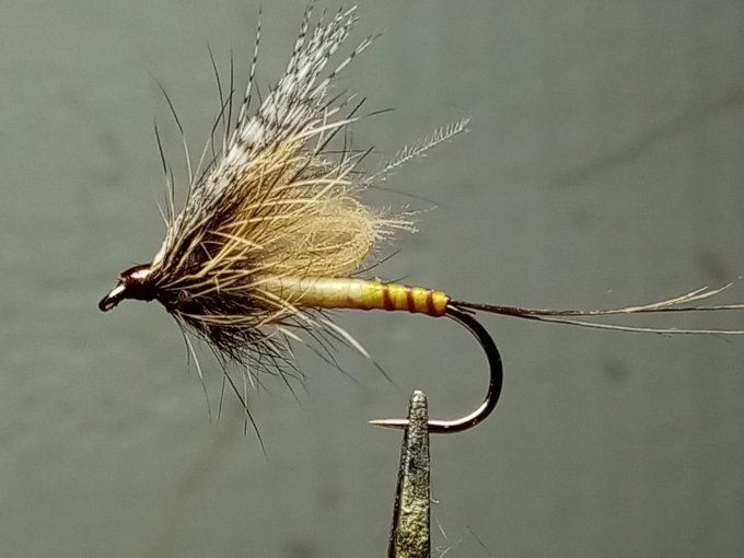 mouche de mai 