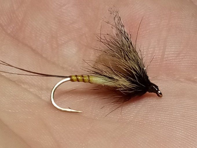 mouche de mai 